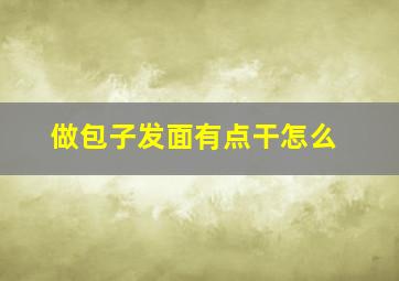做包子发面有点干怎么