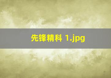先锋精科 