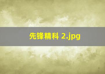 先锋精科 