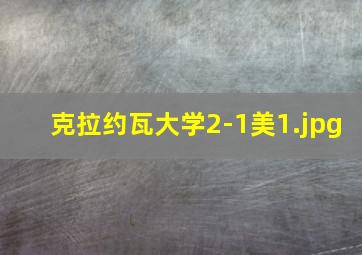 克拉约瓦大学2-1美