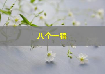 八个一猜