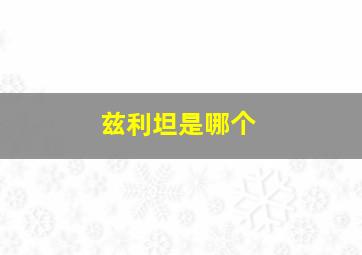 兹利坦是哪个