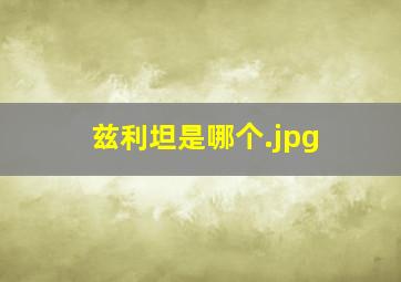 兹利坦是哪个