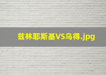 兹林耶斯基VS乌得