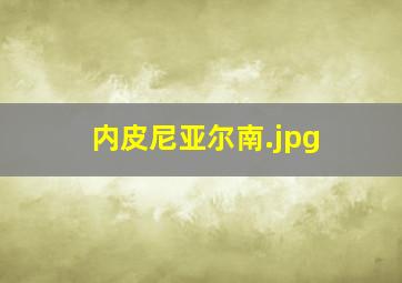 内皮尼亚尔南
