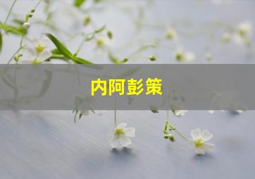 内阿彭策