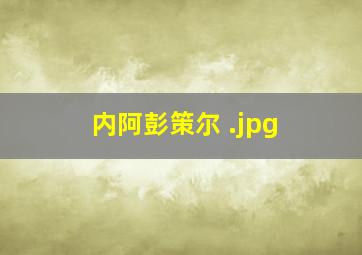 内阿彭策尔 
