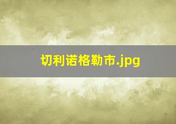 切利诺格勒市