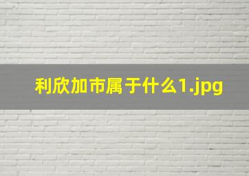 利欣加市属于什么