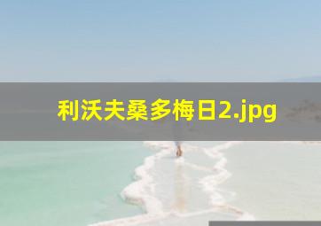 利沃夫桑多梅日