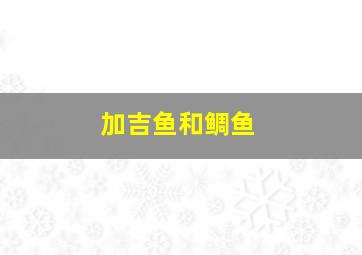 加吉鱼和鲷鱼