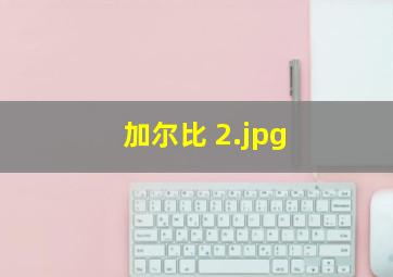 加尔比 
