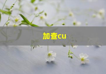 加查cu