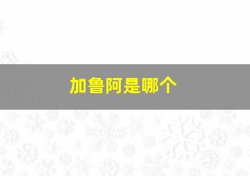 加鲁阿是哪个