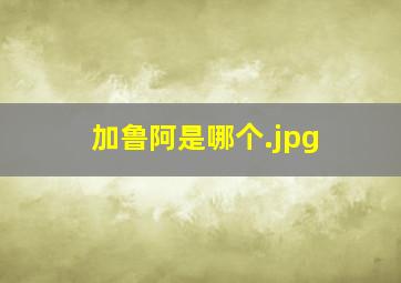 加鲁阿是哪个