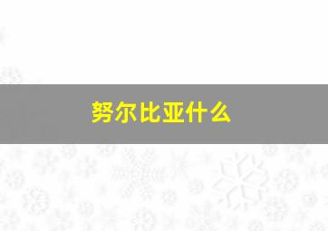 努尔比亚什么