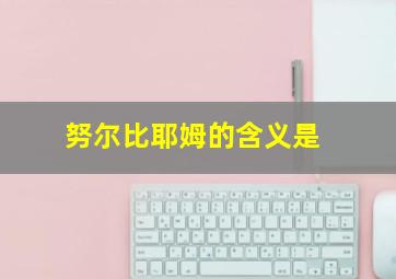 努尔比耶姆的含义是