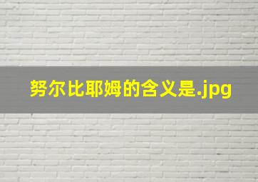 努尔比耶姆的含义是
