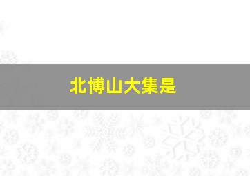 北博山大集是