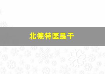 北德特医是干