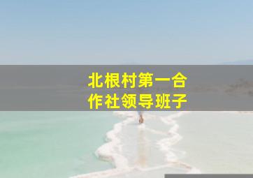 北根村第一合作社领导班子