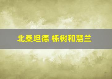 北桑坦德 栎树和慧兰