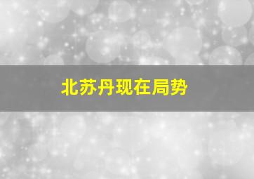 北苏丹现在局势