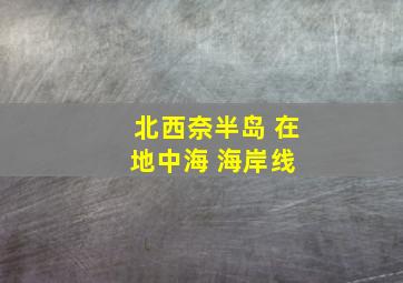 北西奈半岛 在地中海 海岸线 