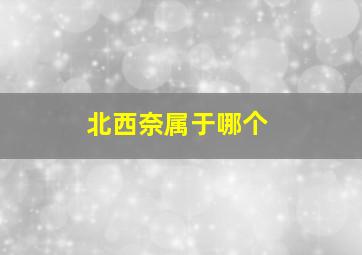 北西奈属于哪个