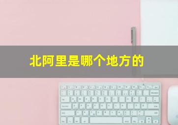 北阿里是哪个地方的