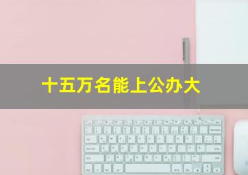 十五万名能上公办大