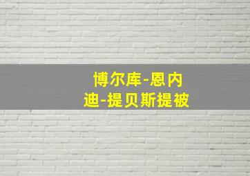 博尔库-恩内迪-提贝斯提被