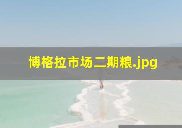 博格拉市场二期粮