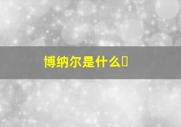 博纳尔是什么�