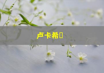 卢卡希�