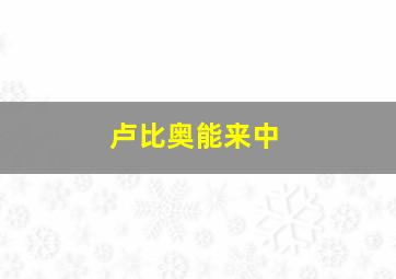 卢比奥能来中