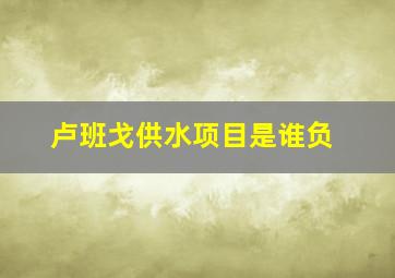 卢班戈供水项目是谁负