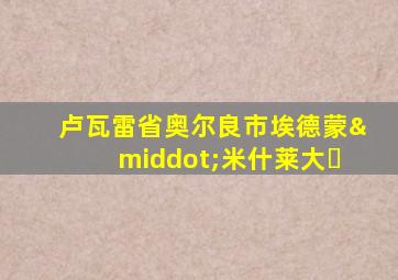 卢瓦雷省奥尔良市埃德蒙·米什莱大�