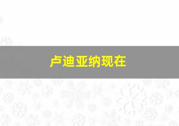 卢迪亚纳现在