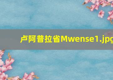 卢阿普拉省Mwense