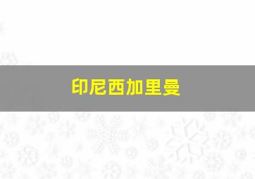 印尼西加里曼