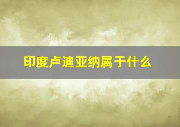 印度卢迪亚纳属于什么