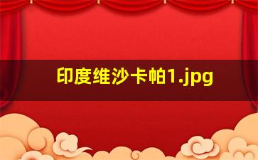 印度维沙卡帕