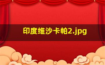 印度维沙卡帕