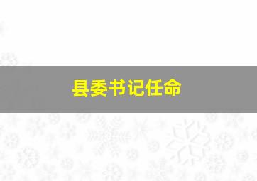 县委书记任命