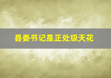 县委书记是正处级天花