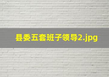 县委五套班子领导