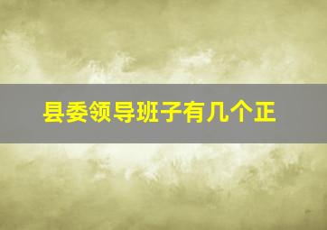 县委领导班子有几个正