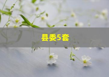 县委5套