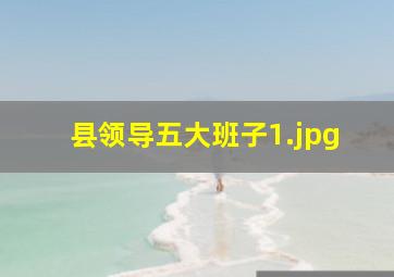 县领导五大班子